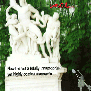 strolling-amomg-the0undergrowth