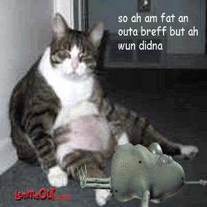 laugh-at-lem-and-the-fat-cat
