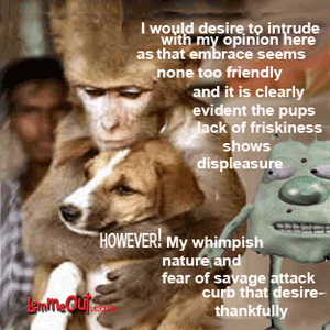 laugh-at-the-wimp-and-the-poor-pup
