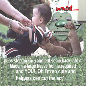 laugh-at-cute-baby-and-pups