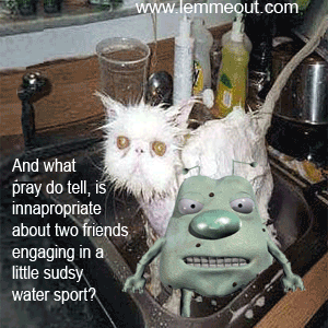funny-picture-of-wet-cat-with-lemmeout