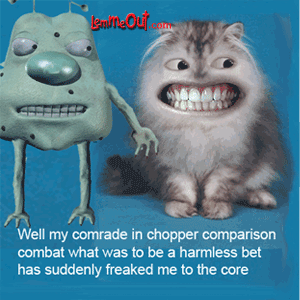 lol-lemme-and-funny-cat-picture