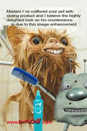 laugh-at-funny-dog-picture-and-lemme