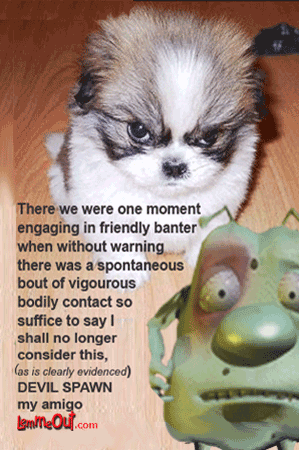 laugh-at-funny-dog-picture-and-lemme