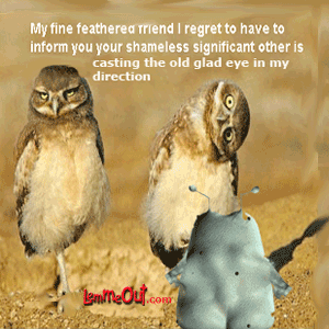 lol-lemme-and-funny-bird-picture
