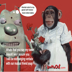 lol-lemme-and-funny-animal-pictures