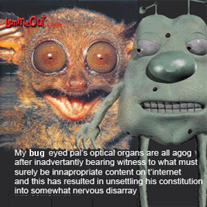 laugh-at-this-funny-animal-picture