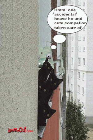 funny-picture-dogs-tigers-lemmeout