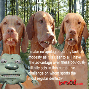 lol-at-funny-funny-pictures-of-dogs