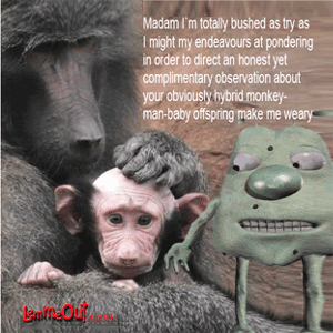 lol-funny-picture-of-monkey