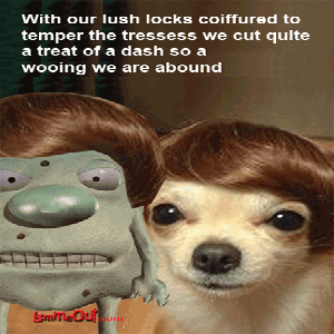 laugh-at-funny-pictures-of-dogs