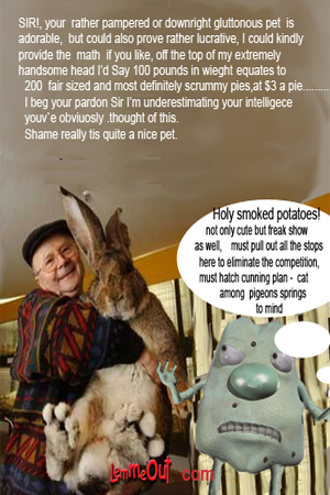 funny-pictures-huge-biggest-bunny-rabbit