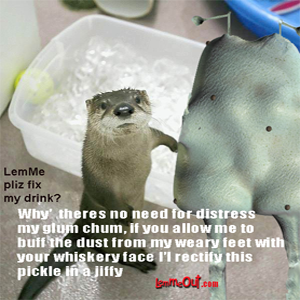 funny-pictures-cute-otter-frozen-water-ice