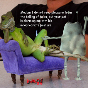 funny-pictures-lizard-lazy-