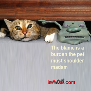 funny-pictures-cat-gets-blame-trouble