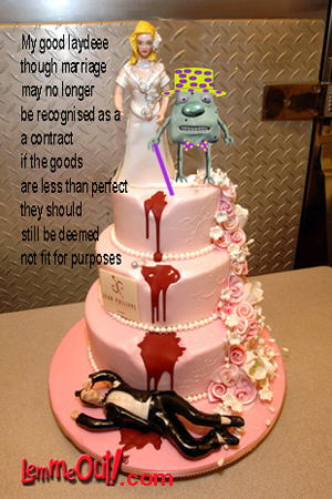funny-pictures-wedding-day-disaster-send-for-divorce-bride-groom