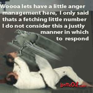 laugh-at-Lems-karate-kicks