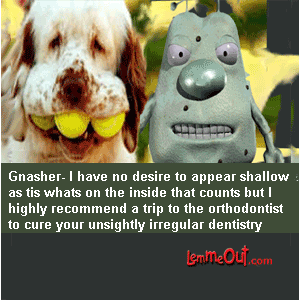 lol-funny-dog-picture