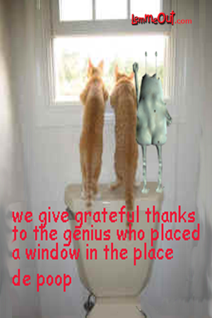 laugh-atLemme-and-cats-gasping-for-breath