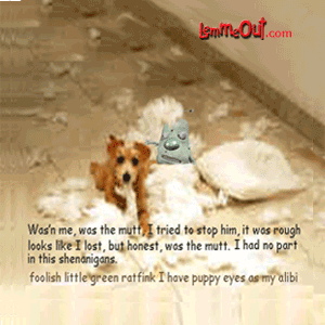 lol-lemme-and-laughing-dog