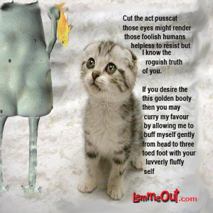 lough-out-loud-at-lemme-and-cat