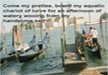 laugh-out-loud-at-lemmes-watery-wooing