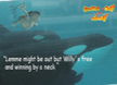 free-willy