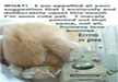 laugh-at-funny-cute-animal-pictures-with-lemme