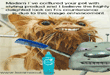 laugh-at-funny-cat-picture