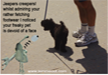 funny-dog-picture