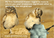 laugh-at-the-funny-owl-picture-and-lemme