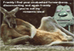 laugh-at-funny-animal-pictures