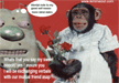laugh-at-the-funny-monkey-picture