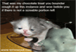 lol-funny-pictures-of-cats