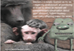 cutest-monkey-animal-pictures