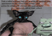 funny-pictures-of-cats