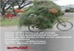 funny-pictures-grass-bike-asia