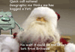 lol-with-christmas- caper