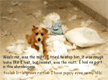 lol-puppy-alibi