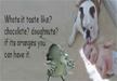 lol-lchasing-baby