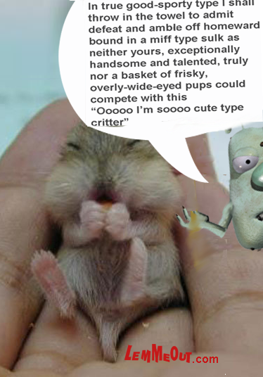 funny-picture-baby-chipmunk-thing-with-lemmeout