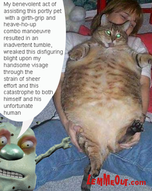 lol-funny-picturesfat-cat-asleep-on-a-woman