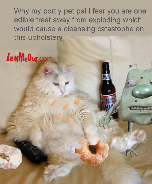 funny-pictures-fat-white-beer-cat
