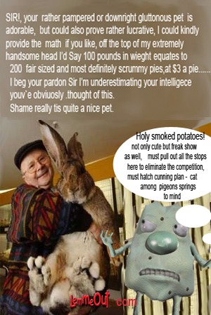 funny-pictures-of-the-day-cute-huge-bunny-rabbit-with-lemmeout