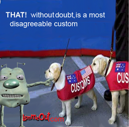 funny-picture-sniffing-dog-cust0ms