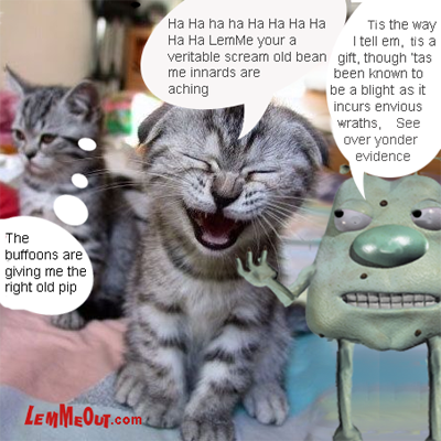 funny-picture-laughing-kitty-monkey-hair