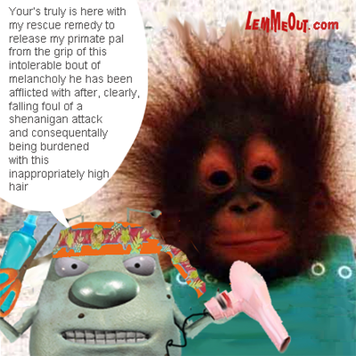 funny-picture-of-the-day-monkey-hair