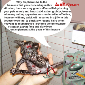 scraggiest-shower-cat