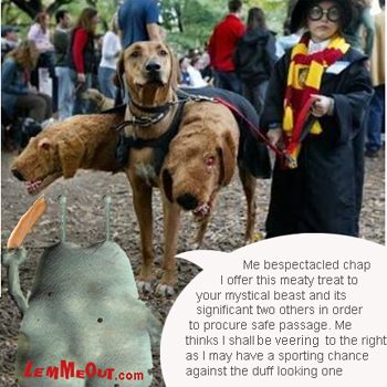 funny-pictures-wizard-three-headed-dog-lemmeout